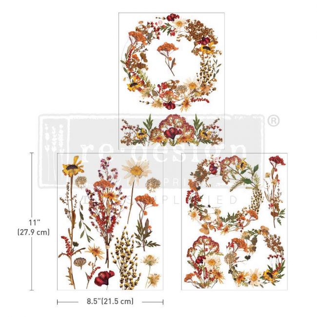 MIDDY DECOR TRANSFER® – DRIED WILD FLOWERS