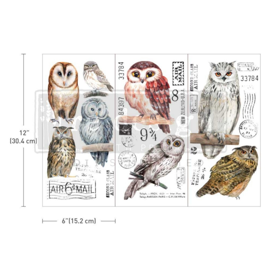 SMALL DECOR TRANSFER® - OWL