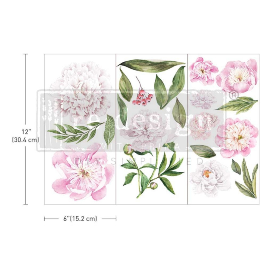 SMALL DECOR TRANSFER® - MORNING PEONIES