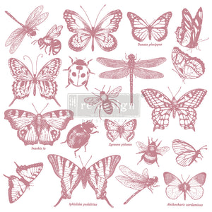 Clear Cling Stamp - Monarch Collection