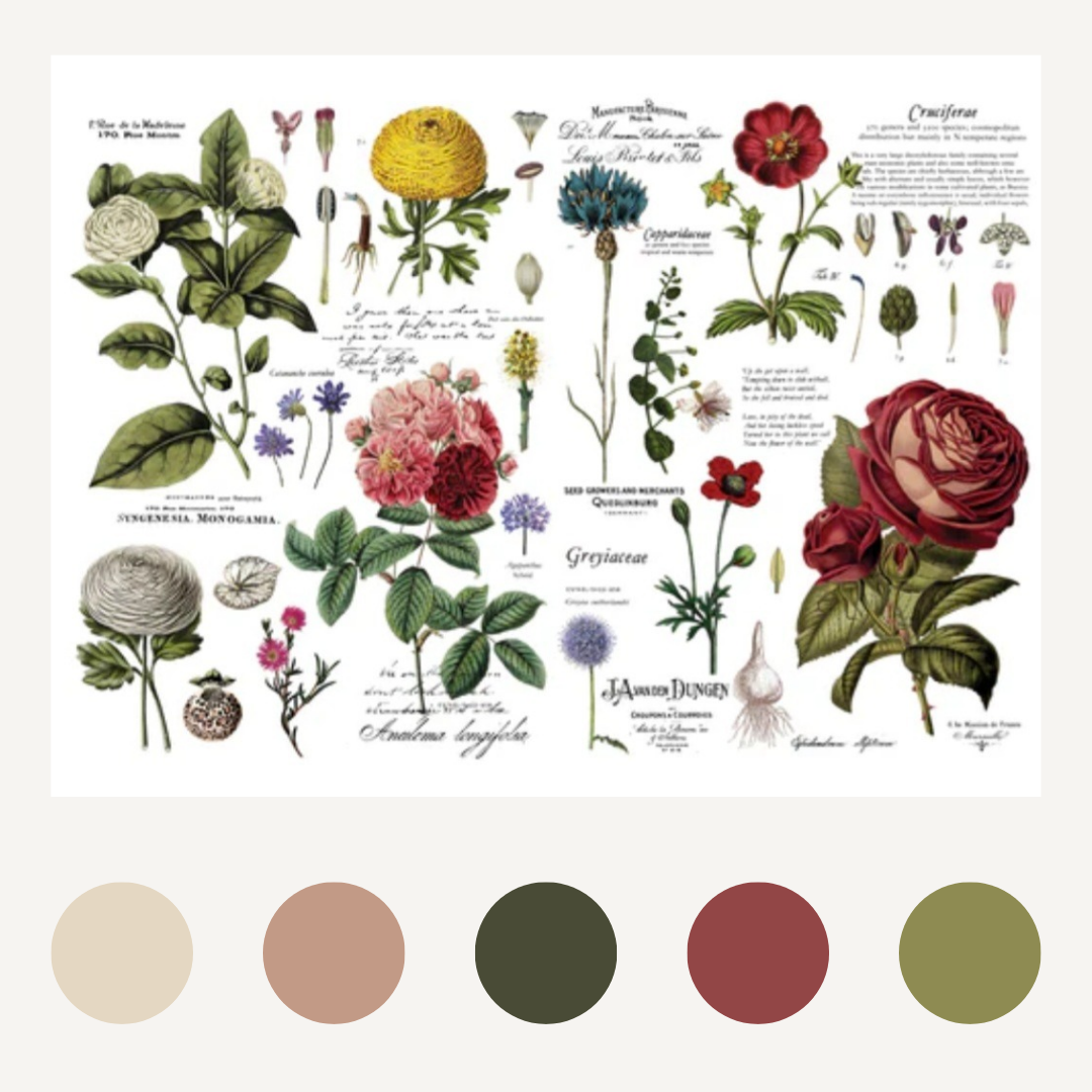 DECOR TRANSFER® - VINTAGE BOTANICAL