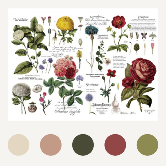 DECOR TRANSFER® - VINTAGE BOTANICAL