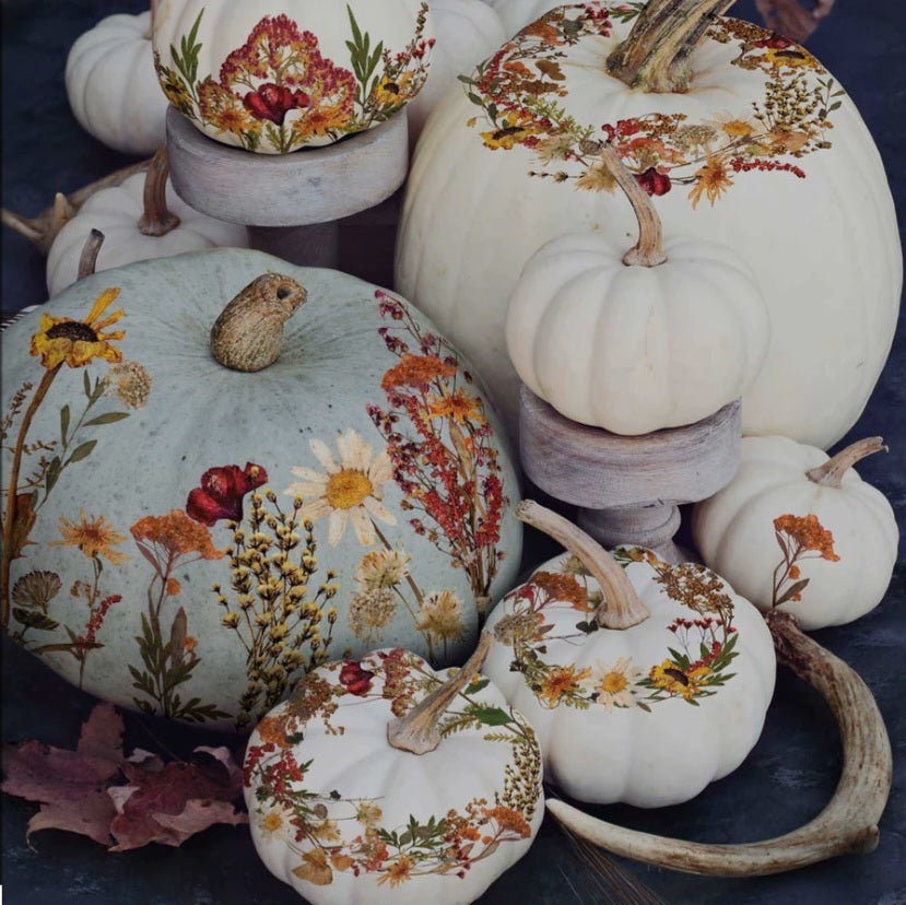 MIDDY DECOR TRANSFER® – DRIED WILD FLOWERS