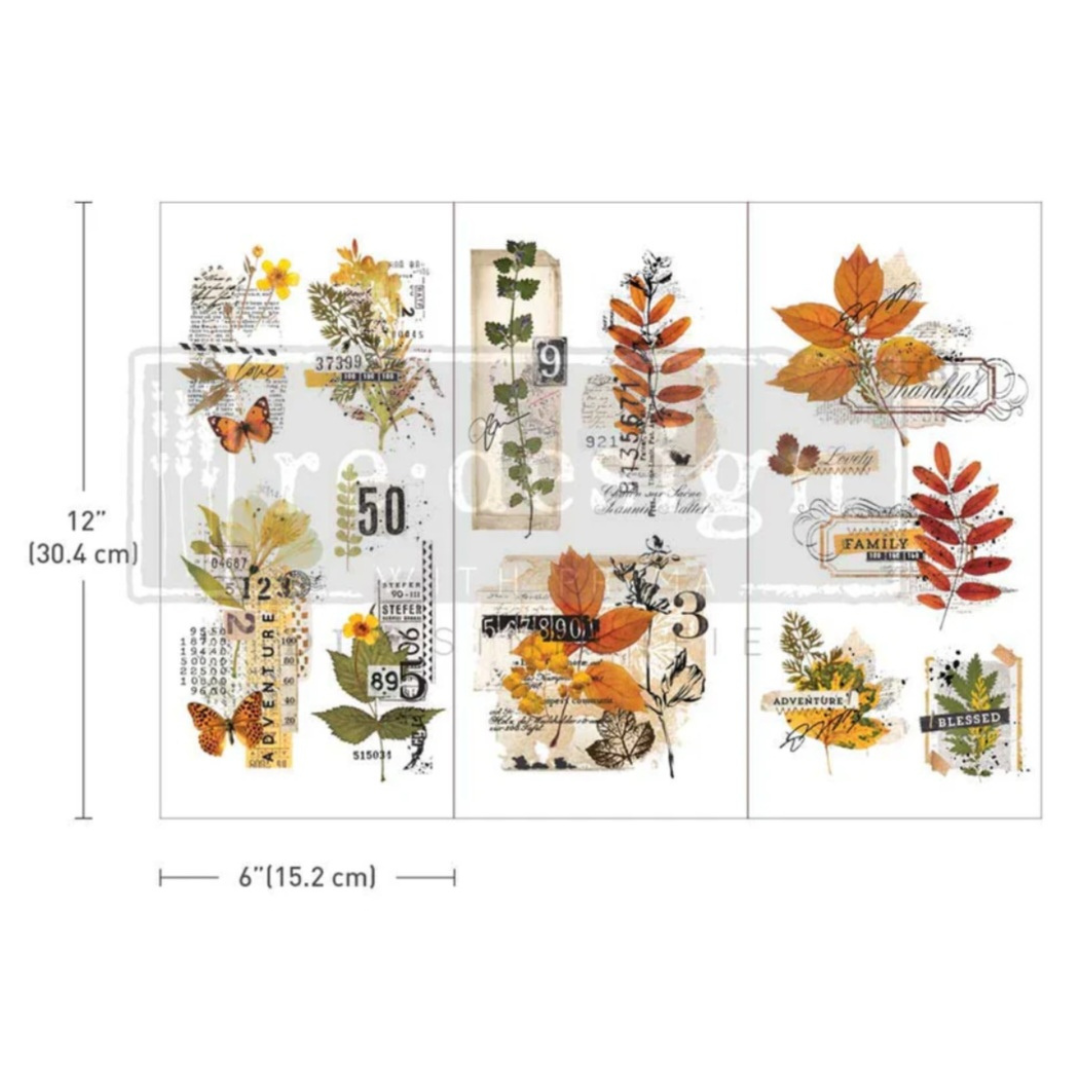 SMALL DECOR TRANSFER® - FOLIAGE COLLECTOR