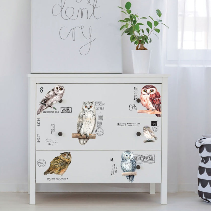 SMALL DECOR TRANSFER® - OWL