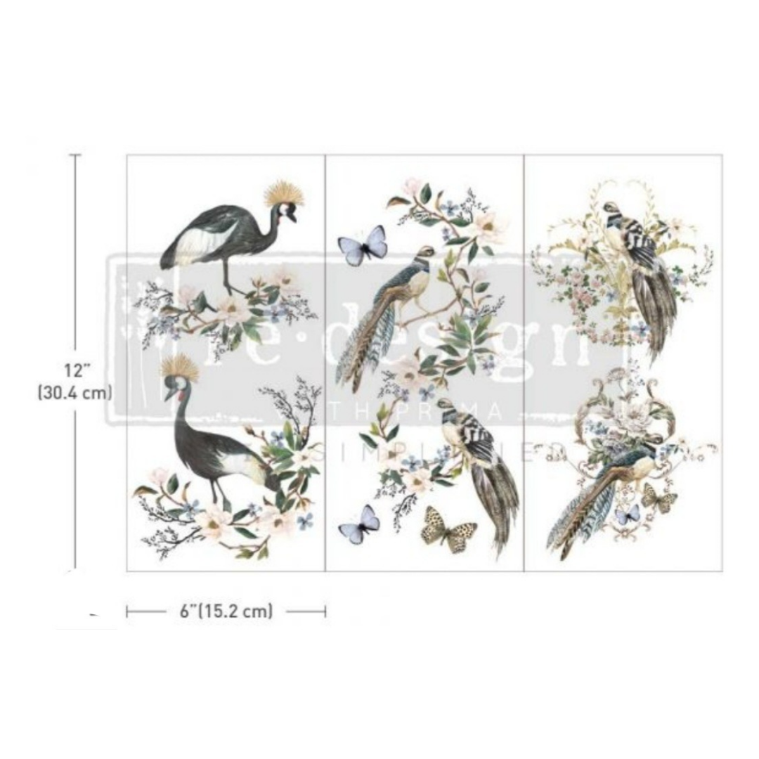 SMALL DECOR TRANSFER® - RARE BIRDS