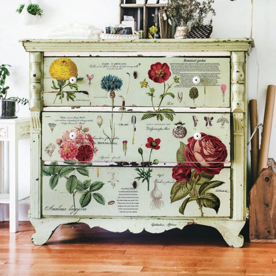 DECOR TRANSFER® - VINTAGE BOTANICAL