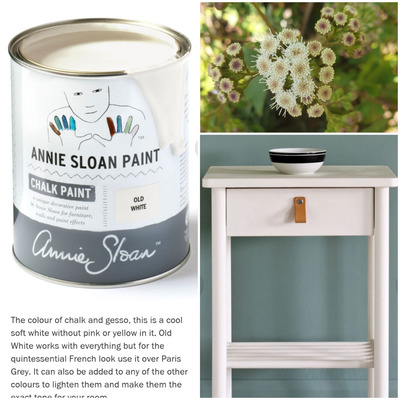 ANNIE SLOAN CHALK PAINT®️ OLD WHITE