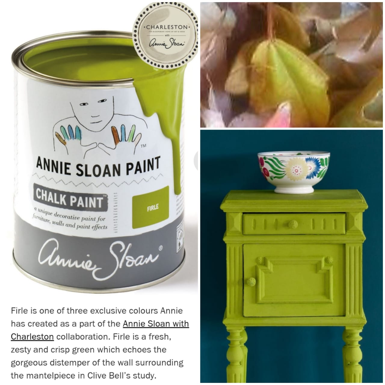 ANNIE SLOAN CHALK PAINT®️ FIRLE