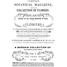 Load image into Gallery viewer, Botanical Magazine
