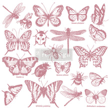Load image into Gallery viewer, Clear Cling Stamp - Monarch Collection
