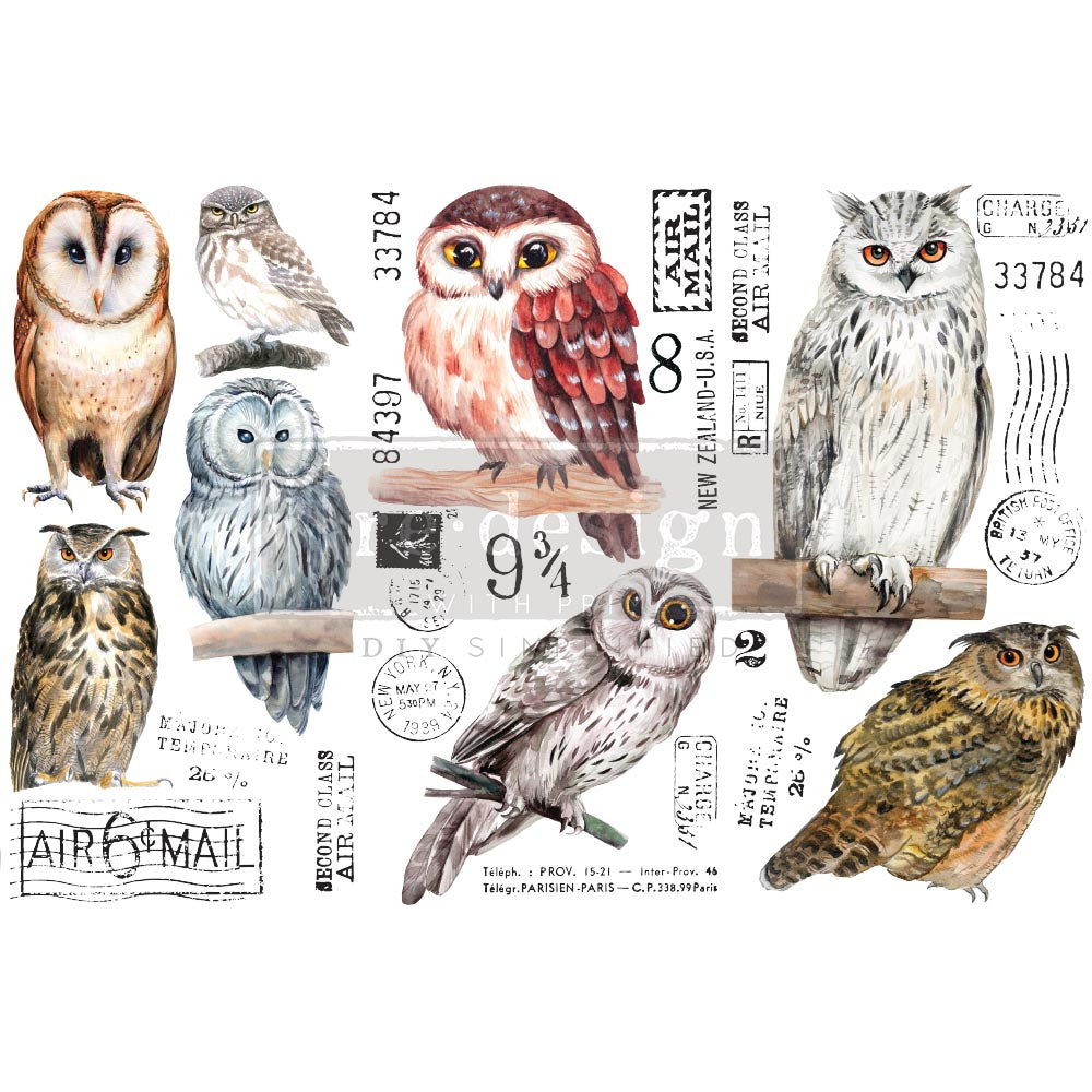 Small Transfer - Owl